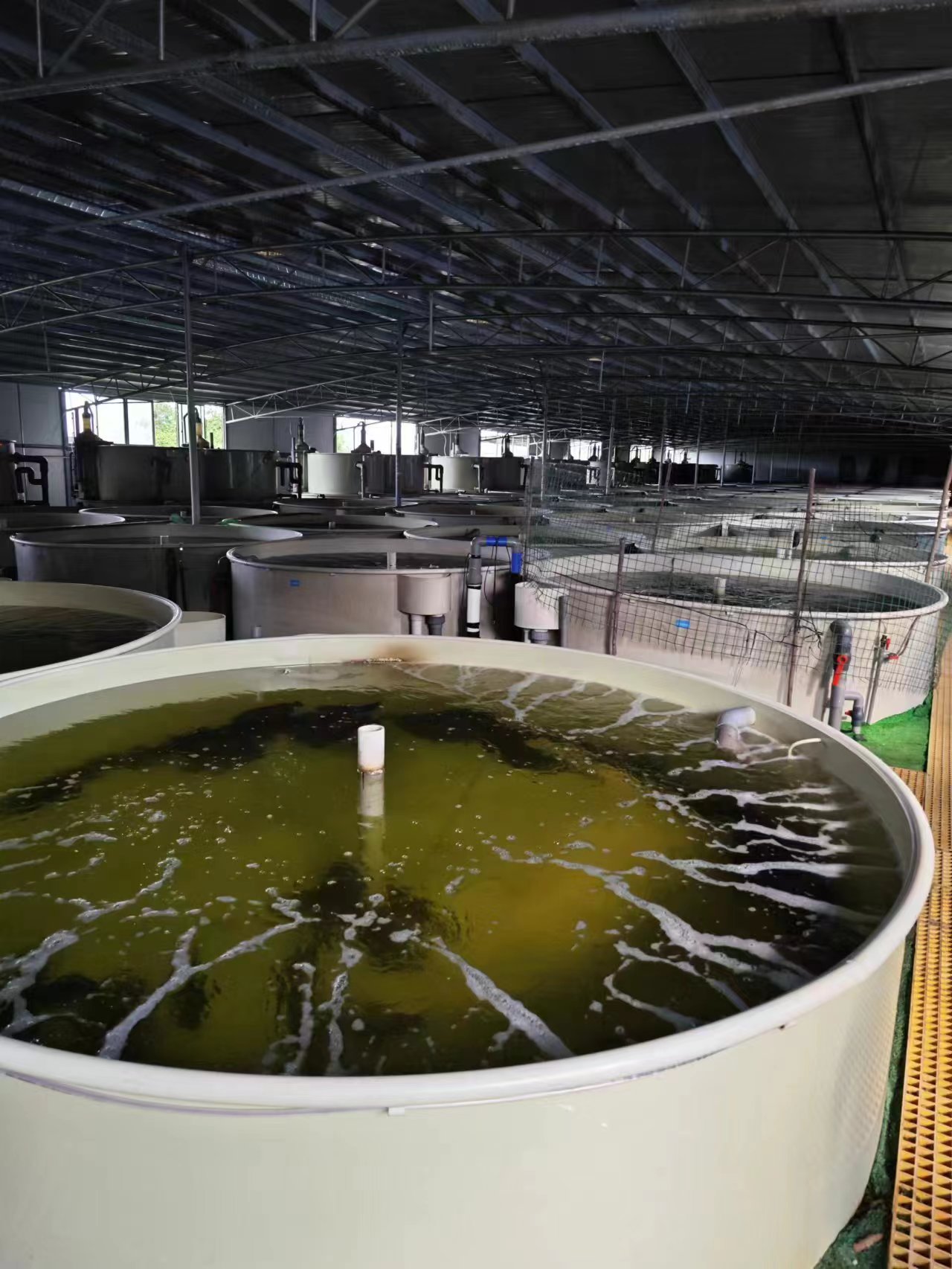 水产养殖客户现场