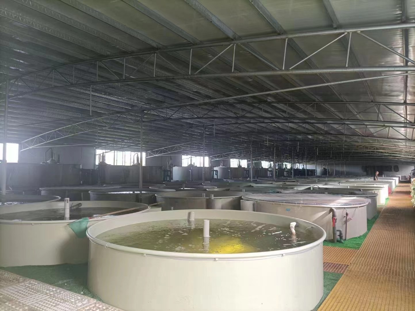 水产养殖客户现场